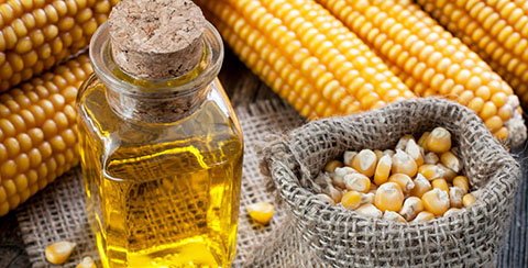 Composicin qumica del grano de maces especiales desarrollados en la Argentina para la industria alimentaria
