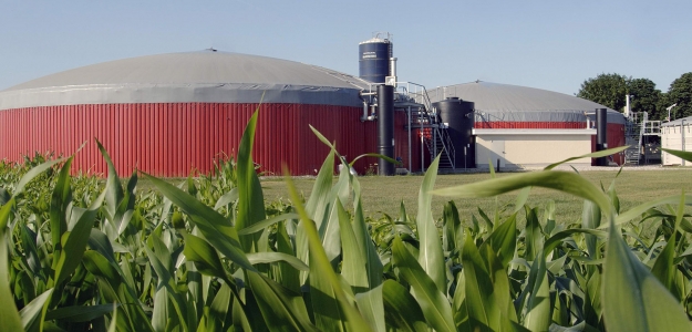 Biomasa agropecuaria: una alternativa para el desarrollo regional y energtico de la Argentina