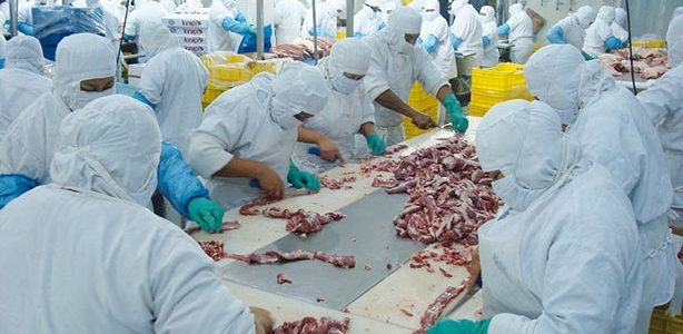 La EFSA dio su opinin sobre la temperatura apropiada para el almacenamiento y transporte de carne