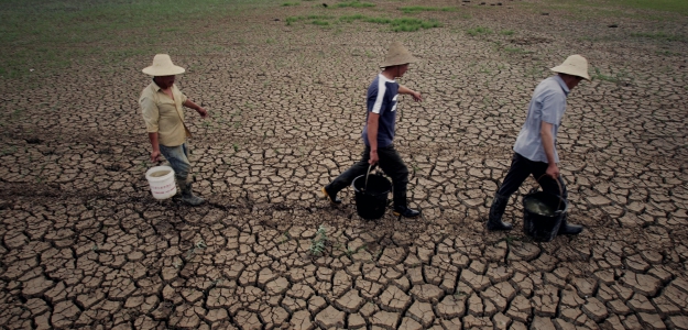 Bajemos la temperatura: por qu se debe evitar un planeta 4C ms clido 