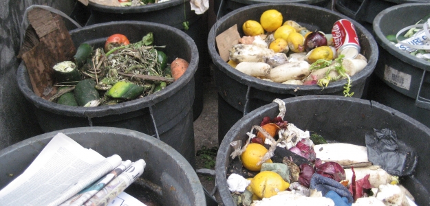 En Amrica Latina se pierde o desperdicia el 15% de los alimentos disponibles