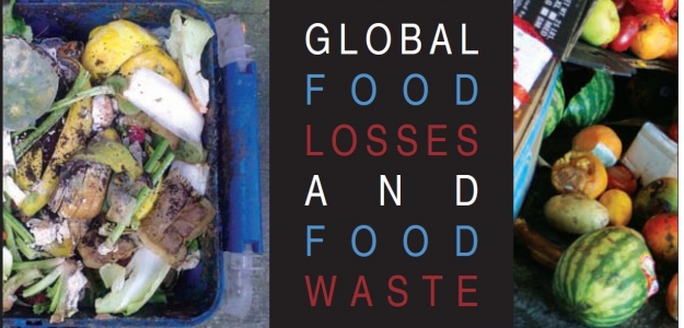Prdidas y desperdicio de alimentos. Magnitud, causas y prevencin