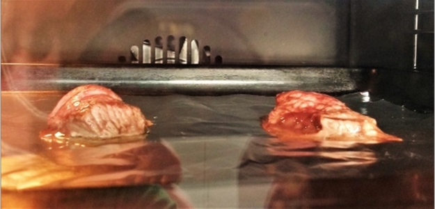 Aplicacin de ultrasonido en carnes: efecto sobre la calidad tecnolgica