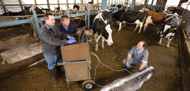 Vacas lecheras en sistema pastoril: un plus ambiental
