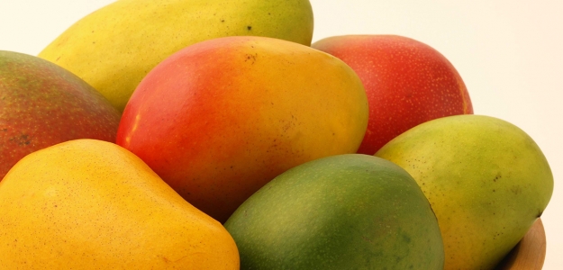 Aceptabilidad, conocimiento, consumo y composición química-nutricional del mango (Mangifera indica L.) y productos elaborados