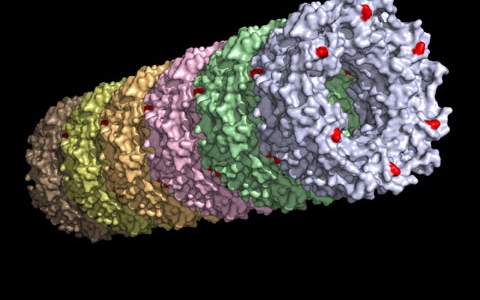 Aplicaciones de la nanotecnologa en la produccin de leche