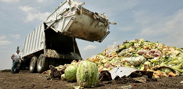 La reduccin del desperdicio de alimentos, mejorar la seguridad alimentaria?