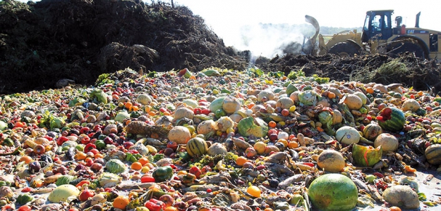 Despilfarro de alimentos y sustentabilidad ambiental