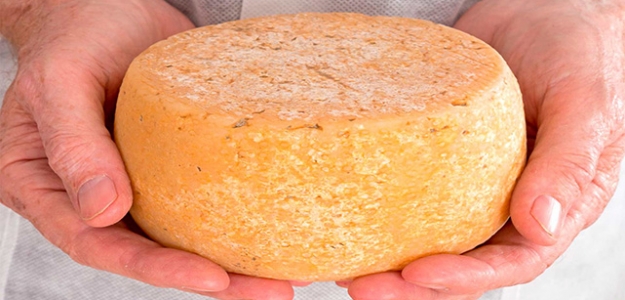 Caracterizacin de calidad y estudio de inocuidad de leche  y quesos artesanales producidos en tambos fbrica de Entre Ros