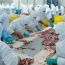 La EFSA dio su opinin sobre la temperatura apropiada para el almacenamiento y transporte de carne