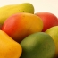 Aceptabilidad, conocimiento, consumo y composicin qumica-nutricional del mango (Mangifera indica L.) y productos elaborados