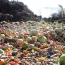 Despilfarro de alimentos y sustentabilidad ambiental